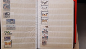 Briefmarken BRD Lageralbum postfrisch 1991-1997 Bild 6
