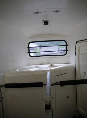 Pferdeanhänger Westfalia Jupiter XL 24 Bild 5