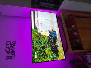 Hisense smart TV 43 zoll backlight Garantie! Bild 2