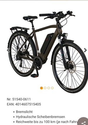 E-Trekking Fahrrad Bild 2