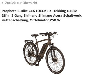 E-Trekking Fahrrad Bild 3