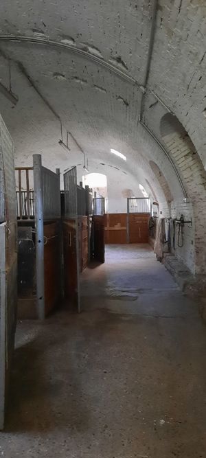 Pferdeboxen zu vermieten Bild 9