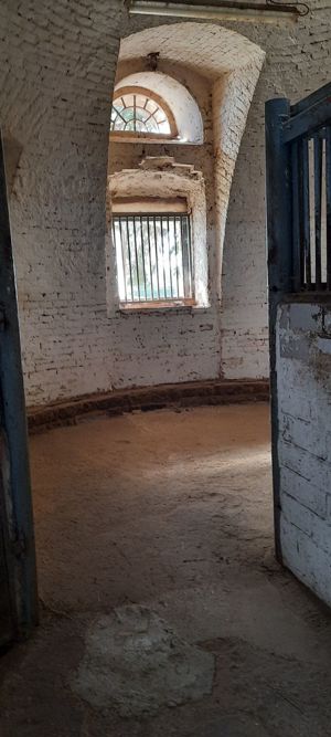 Pferdeboxen zu vermieten Bild 10