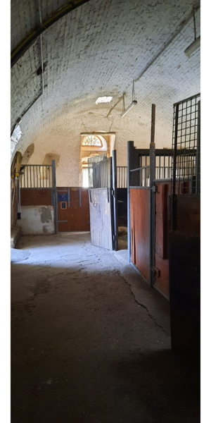 Pferdeboxen zu vermieten Bild 8