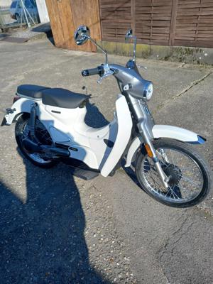 Motron-Cubertino Elektro-Moped Bild 4