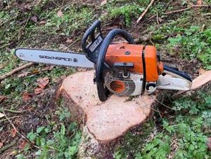 Suche Motorsäge Kettensäge Stihl