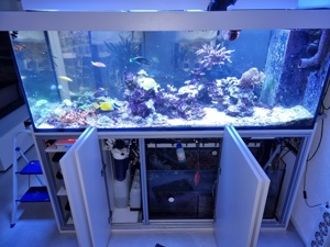 Luxus-Meerwasser-Aquarium 1.000 Liter inkl. Technik+Beleuchtung!!! Bild 4