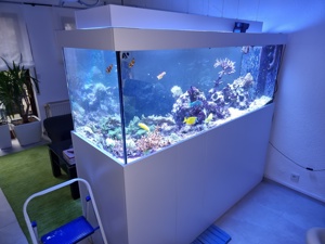 Luxus-Meerwasser-Aquarium 1.000 Liter inkl. Technik+Beleuchtung!!! Bild 2