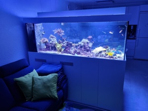 Luxus-Meerwasser-Aquarium 1.000 Liter inkl. Technik+Beleuchtung!!! Bild 1