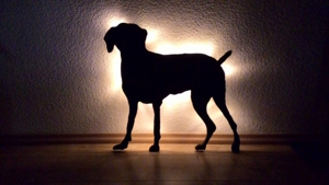 Wandbild mit LED Beleuchtung von deinem eigenem Tier Bild 6