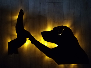 Wandbild mit LED Beleuchtung von deinem eigenem Tier Bild 5