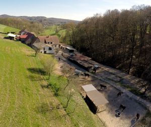 2 Ponystellplätze ab sofort frei ! Bild 2