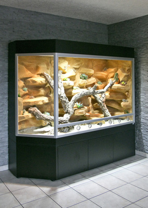 Steppen-Wüstenterrarium für Bartagamen und alle anderen Steppenbewohnende Reptilien Bild 9