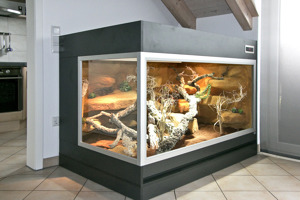 Steppen-Wüstenterrarium für Bartagamen und alle anderen Steppenbewohnende Reptilien Bild 4