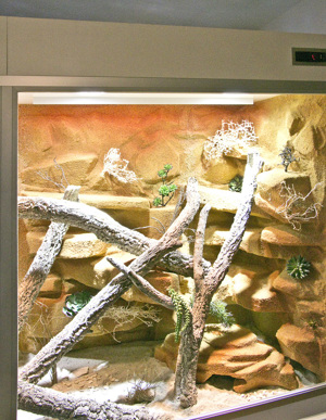 Steppen-Wüstenterrarium für Bartagamen und alle anderen Steppenbewohnende Reptilien Bild 3