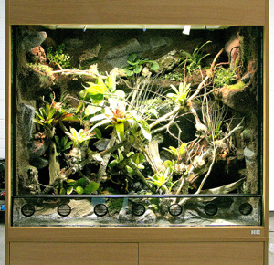 Aqua-Terrarium   Paludarium z. B. für Krokodilschwanzechsen Bild 2