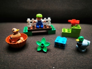 Lego Duplo Set Entenfütterung Nr. 10581 Bild 1