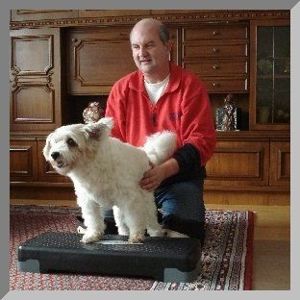 Mobile Hundeschule, Problemhunde, Hundephysiotherapie, Fotoshootings Bild 4