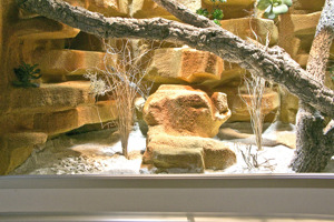 Steppen-Wüstenterrarium für Bartagamen und alle anderen Steppenbewohnende Reptilien Bild 5