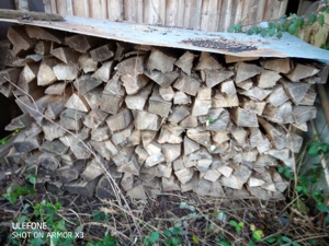 Brennholz , reine Buche zum sofort heizen Bild 2