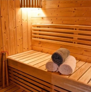 Lust auf Sauna im Raum EU - DN - DAU Bild 2