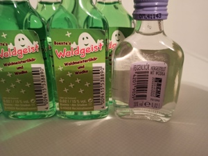 Boente's Waldgeist Waldmeisterlikör 7 Flaschen 0,02, 1 Flasche 0,7 Liter Bild 6