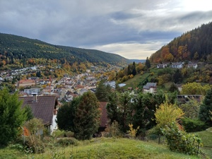 Panoramablick Ferienwohnung im Schwarzwald  Bild 3