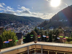 Panoramablick Ferienwohnung im Schwarzwald  Bild 2