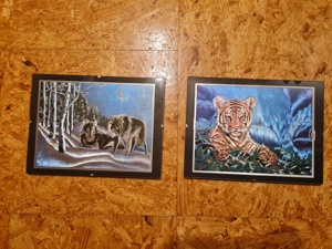 Bilder Tiger Wölfe Tier Tiere Schimmer glänzend Glanz 24x18 cm