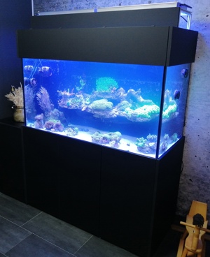 Meerwasser Aquarium 130x60x70cm Schwarz Matt