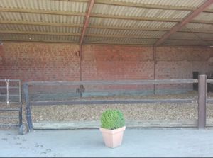 Gemütlicher Pferdestall*Box mit Sommer- u. Winterweiden stadtnah frei! Bild 3