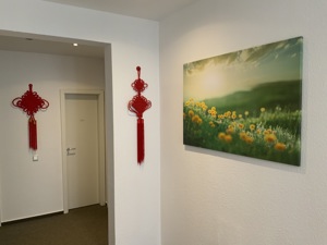 Chinesische Massage in Dortmund Bild 2