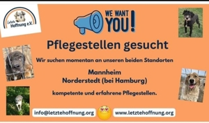 Pflegestellen gesucht