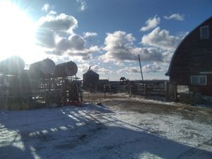 Bauernhof in sonnigem Manitoba zu verkaufen. Haus, Stallungen, Werkstatt, ueber 5.7 millionen qmtr. Bild 3