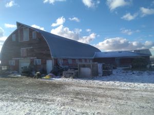 Bauernhof in sonnigem Manitoba zu verkaufen. Haus, Stallungen, Werkstatt, ueber 5.7 millionen qmtr. Bild 2