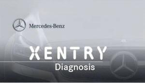 Fehlerauslesen mit Xentry Mercedes Benz Bild 1
