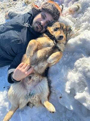 Kleiner Oskar  (3 Jahre 35 cm 9kg) wünscht sich liebevolle Hundefreunde    Bild 7