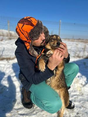 Kleiner Oskar  (3 Jahre 35 cm 9kg) wünscht sich liebevolle Hundefreunde    Bild 5