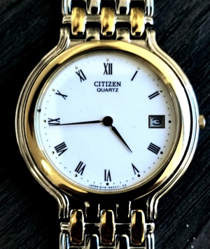 Citizen Vintage Unisex Bicolor Uhr