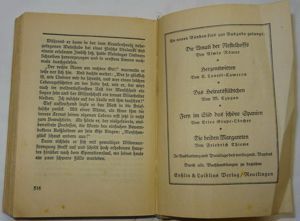 BP Rudolf Kleinecke Trude Gregers Liebesopfer WTH Enßlins Romane 1928 Altdeusch Buch alt  Bild 9
