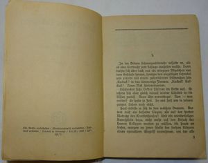 BP Rudolf Kleinecke Trude Gregers Liebesopfer WTH Enßlins Romane 1928 Altdeusch Buch alt  Bild 6