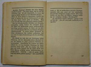 BP Rudolf Kleinecke Trude Gregers Liebesopfer WTH Enßlins Romane 1928 Altdeusch Buch alt  Bild 8