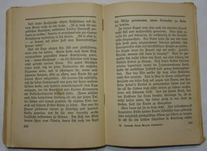 BP Rudolf Kleinecke Trude Gregers Liebesopfer WTH Enßlins Romane 1928 Altdeusch Buch alt  Bild 5