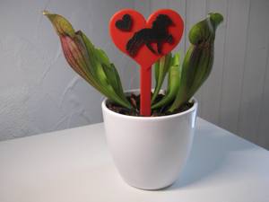 Isländer Pflanzenstecker Pflanzenschild Deko-Stecker Blumentopf