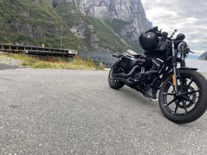 Harley-Davidson Iron 883 Vance&Hines Fuelpack 3 Bild 5
