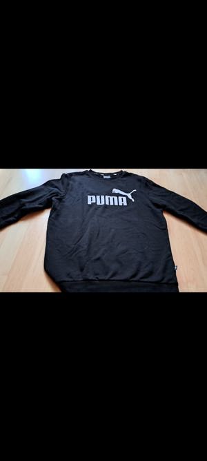 PUMA Pullover - Top Zustand Bild 4