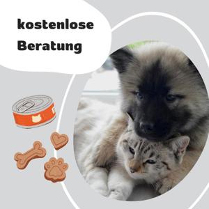 kostenlose Beratung zum Futter bei Hunden und Katzen