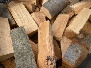 Brennholz Buche waldfrisch 25cm, 33cm Stücke gesägt