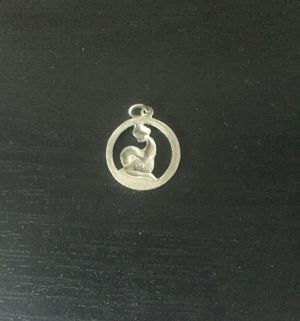 Amulett Hl. Rita de Cascia oder Tierkreiszeichen  Bild 5