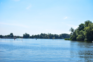 Naturnahes Wassergrundstück mit eigenem Bootssteg Bild 1